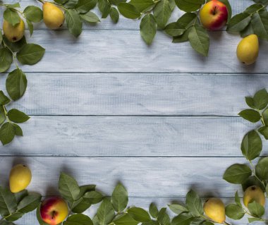 Çerçeve yeşil yaprakları, elma ve armut ahşap vintage kurullarında. Metin için yer.