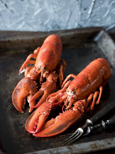 Seafood lobsters. Fresh beautiful large sea lobsters. Delicious