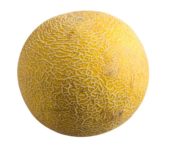 Frukt isolerad på vit botten. Melon — Stockfoto