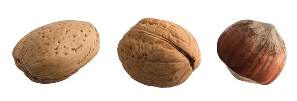 Nuts isolated on a white background. Almond, walnut and hazelnut — Stock Photo, Image