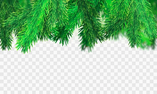 Stock Vector Illustration Weihnachtsbaumzweige isoliert auf einem transparenten Hintergrund. Vorlagen für Plakate, Banner, Flyer, Präsentationen und Berichte. eps10 — Stockvektor