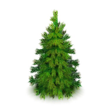 Vektör çizim gerçekçi Noel ağacı Isolated beyaz arka plan üzerinde stok. Eps10
