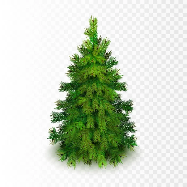 Απόθεμα διανυσματικά εικονογράφηση ρεαλιστική χριστουγεννιάτικο δέντρο απομονωμένη σε διαφανές φόντο καρώ. Eps10 — Διανυσματικό Αρχείο