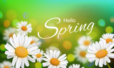 Vektör çizim Merhaba, merhaba bahar stok. Gerçekçi chamomiles, ufuk arka plan bulanık. Makro çiçekler. Yeşil bokeh. Posterlerini açmaları, afiş, el ilanları, sunumlar, raporlar için şablon. Eps10