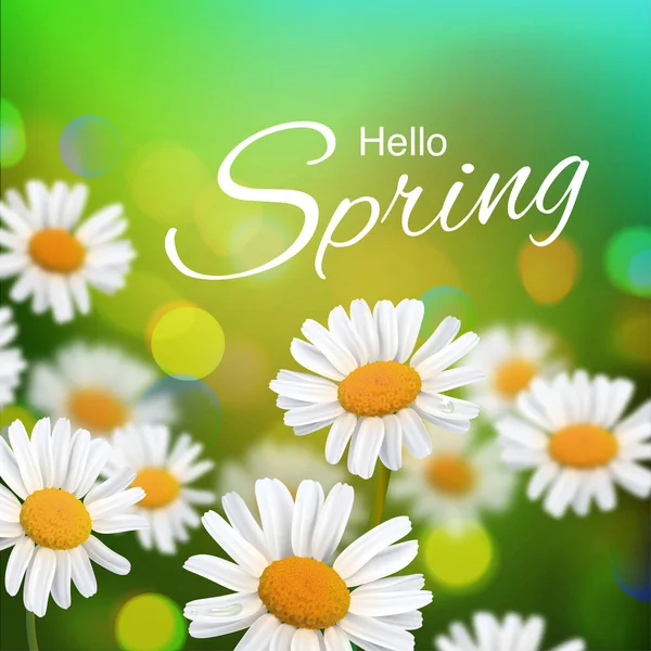 Vektör çizim Merhaba, merhaba bahar stok. Gerçekçi chamomiles, ufuk arka plan bulanık. Makro çiçekler. Yeşil bokeh. Posterlerini açmaları, afiş, el ilanları, sunumlar, raporlar için şablon. Eps10