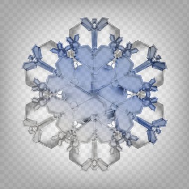 Hisse senedi vektör çizim gerçekçi kar tanesi. Saydam bir arka plan üzerinde izole. Kar Güz. Kar tanesi. EPS 10