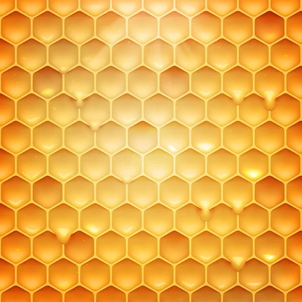 Hisse senedi vektör çizim gerçekçi petek doku. Tatlım, balmumu. EPS 10