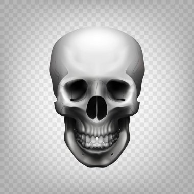 Kafatası saydam arka plan