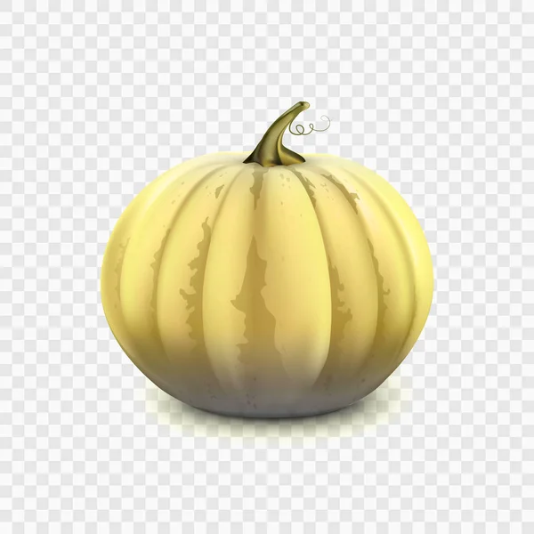 Stock vector illustration pumpkin isolated on a transparent background. EPS 10 — Stock Vector