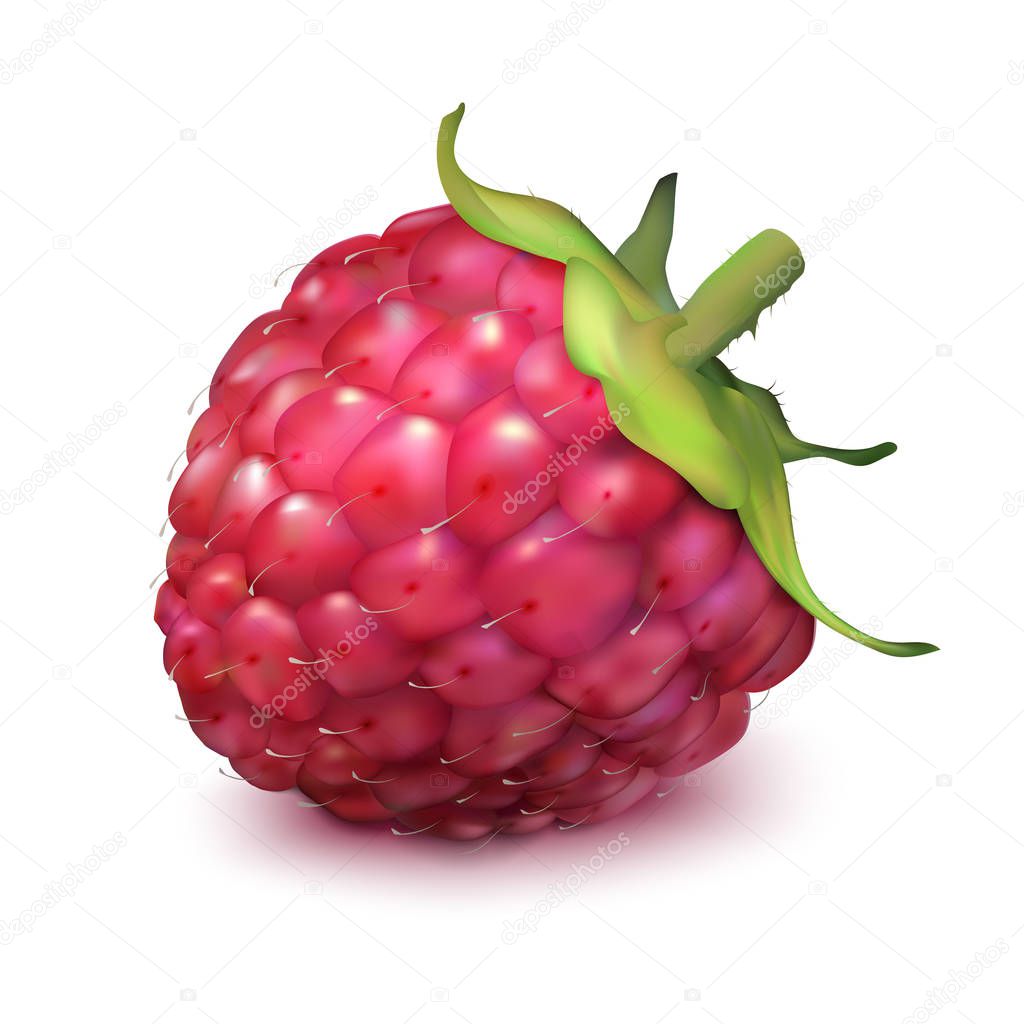 Realistic raspberries object