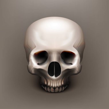 Hisse senedi raster illüstrasyon insan kafatası