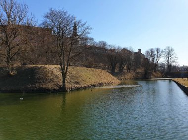 Erken Ilkbahar Yaz Şehir Parkı Yeşil Göl Doğa gölünde gökyüzü manzara mavi gölleri su yansıma Yeşiller