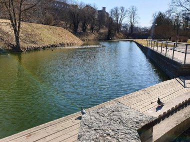Erken Ilkbahar Yaz Şehir Parkı Yeşil Göl Doğa Göl gökyüzü manzara mavi su yansıma 
