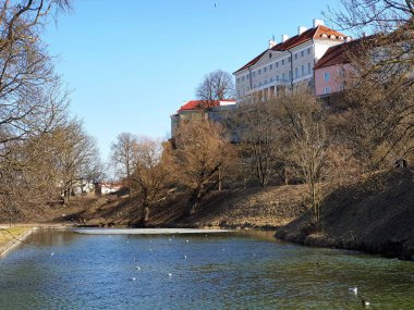 Erken Ilkbahar Yaz Şehir Parkı Yeşil Göl Doğa gölünde gökyüzü manzara mavi gölleri su yansıma Yeşiller
