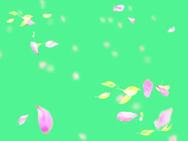 Rosa Blüten Blütenblatt Und Gelbe Blätter Auf Grünem Licht Hintergrund — Stockfoto