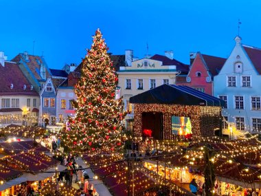 Tallinn 'deki pazar yerindeki Noel ağacı Estonya' ya eski belediye binası karesi Avrupa seyahati 