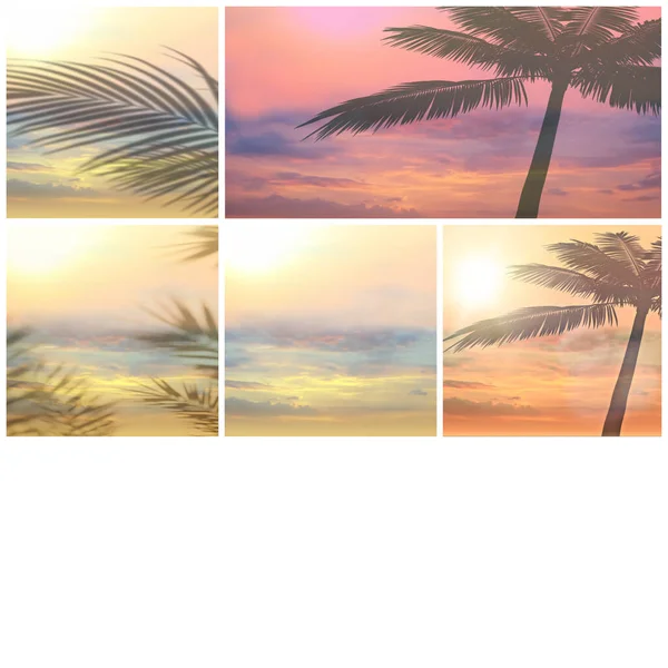 热带海滩树树叶轮廓粉红日落海滩棕榈前天自然景观概念背景拼贴集 — 图库照片