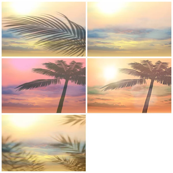 Tropische Strand Boom Bladeren Silhouet Roze Zonsondergang Strand Palm Aan — Stockfoto