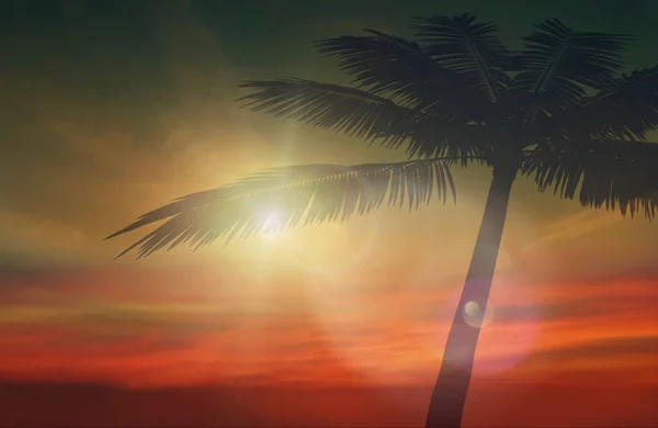 Tropische Boom Bladeren Silhouet Roze Geel Blauw Zonsondergang Strand Palm — Stockfoto