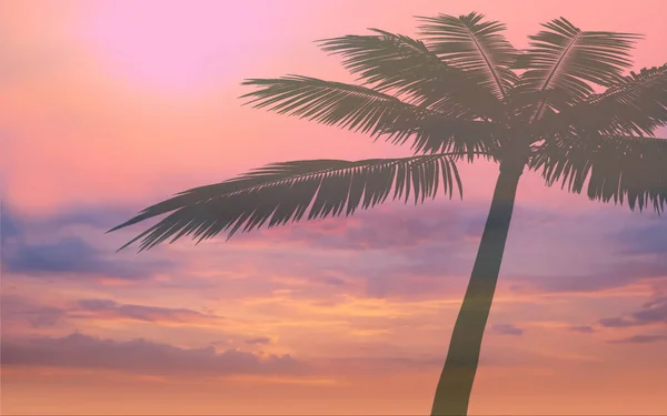 Albero Tropicale Foglie Silhouette Rosa Giallo Blu Tramonto Spiaggia Palma — Foto Stock