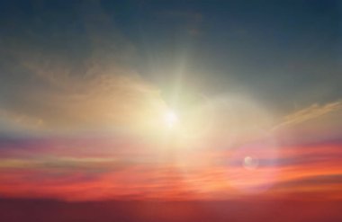 Tropikal ağaç, pembe sarı mavi günbatımı plaj palmiyesinde siluet bırakır. Öndeki gökyüzü doğa manzarası konsepti arka plan şablonu. 