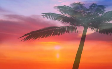 Tropikal ağaç, pembe sarı mavi günbatımı plaj palmiyesinde siluet bırakır. Öndeki gökyüzü doğa manzarası konsepti arka plan şablonu. 
