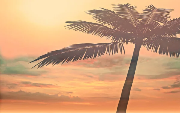 Tropický Strom Listy Silueta Růžové Žluté Modré Západ Slunce Pláž — Stock fotografie