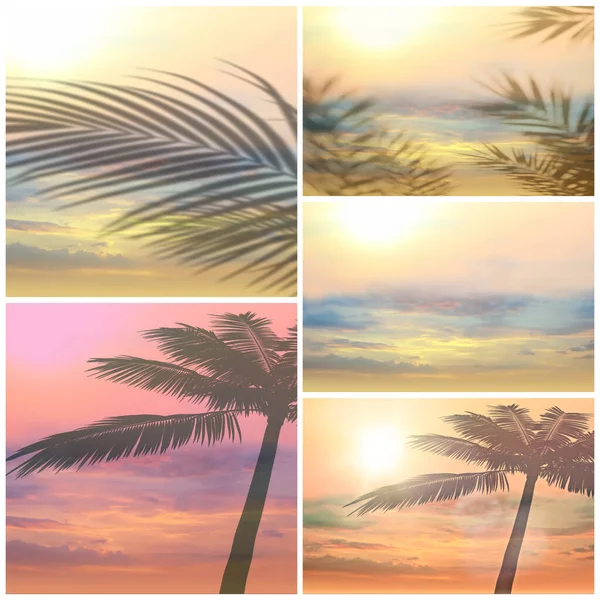 Tropische Strand Boom Bladeren Silhouet Roze Zonsondergang Strand Palm Aan — Stockfoto