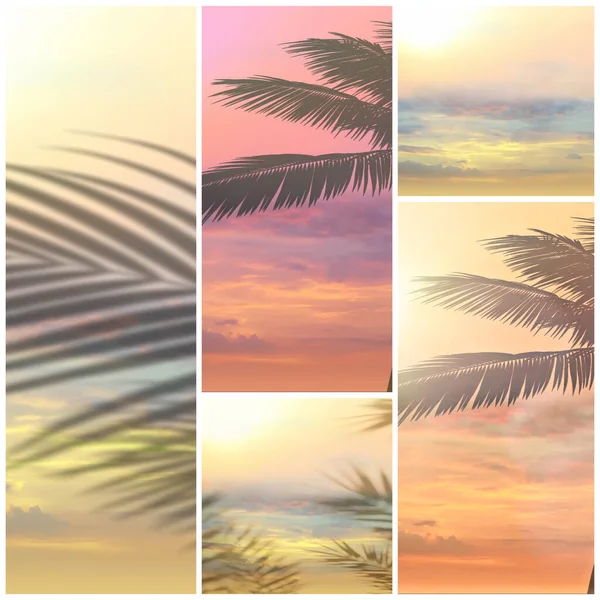 Tropical Beach Tree Leaves Silhouette Pink Sunset Beach Palm Front — Stock Photo, Image