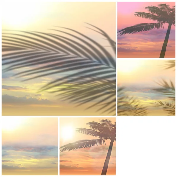 Tropická Pláž Strom Listy Silueta Růžová Západ Slunce Pláž Palma — Stock fotografie