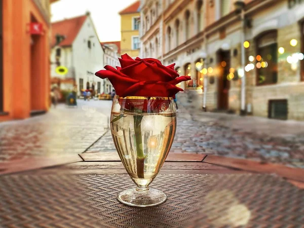 red roses in glass on street cafe table in old town of Tallinn Estonia medieval city lifestyle scene  travel holiday in Europe