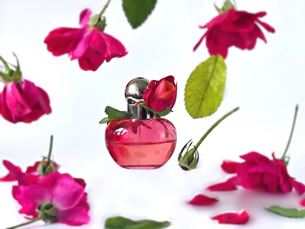 Zapach Perfum Kobiet Czerwone Róże Kwiaty Płatki Białym Tle Odizolowanych — Zdjęcie stockowe