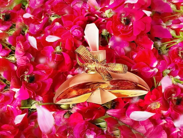 Frauen Parfüm Duft Rote Rosen Blumen Und Blütenblatt Blumiger Hintergrund — Stockfoto