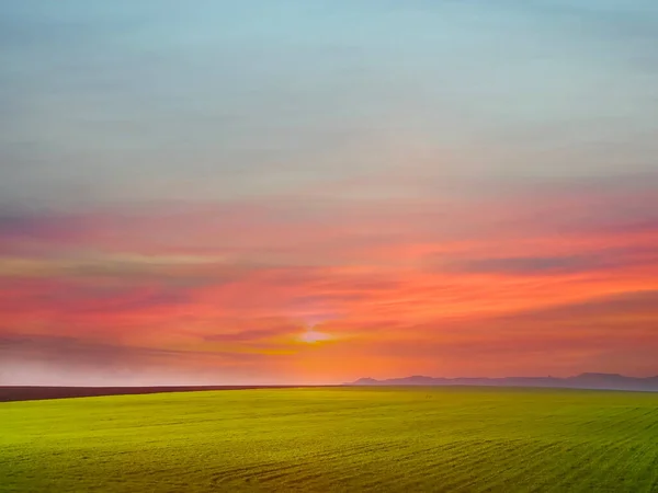 Zomer Zonsondergang Landschap Groen Gras Veld Roze Geel Bewolkte Hemel — Stockfoto