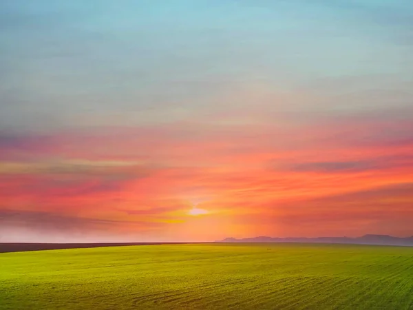 Summer Sunset Countryside Green Grass Field Pink Yellow Cloudy Sky — Stock Photo, Image