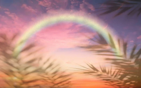 Arcobaleno Tramonto Mare Cielo Rosa Lilla Nuvole Ombra Foglia Sfondo — Foto Stock