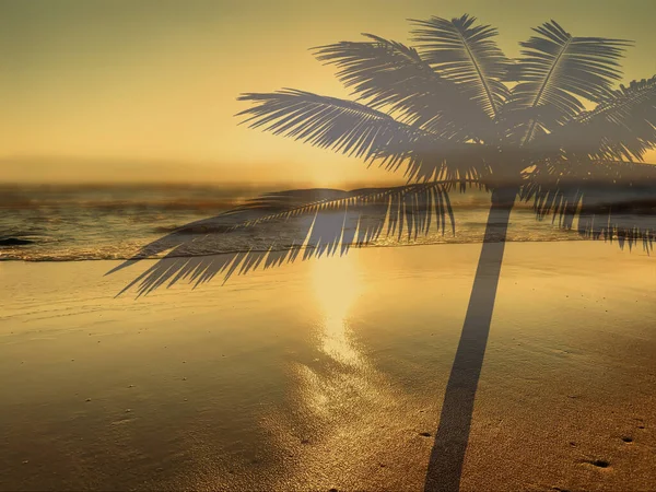 Tropische Zonsondergang Zee Palmblad Schaduw Voorgrond Natuur Landschap — Stockfoto