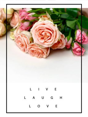 Sevgililer Günü için beyaz arkaplanda pembe güller Sevgi dolu metinli kadınlar için kutlama afiş arkaplanı şablonu 