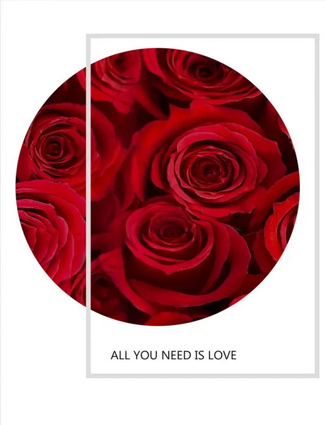roses flowers greetings card with love  text quotes for Valentine Day Wedding