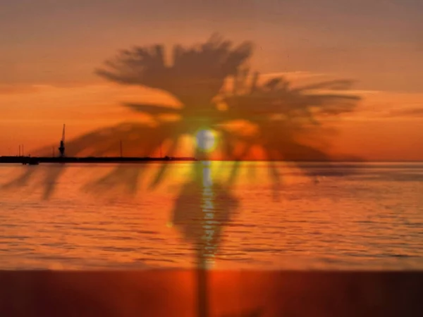 Zlatý Západ Slunce Moři Stínem Palmového Listu Příroda Pozadí — Stock fotografie