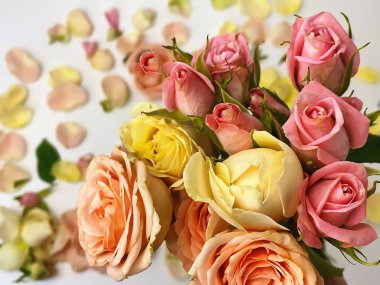 Arka planda güller, Sevgililer Günü için pembe güller ve taç yaprakları.