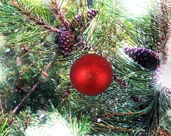 Festlig Jul Röd Boll Grönt Träd Gran Gren Med Kottar — Stockfoto