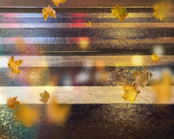 Wet Asphalt Night Road Blurred Light Autumn Leaves Fall Weather — Stock Photo, Image