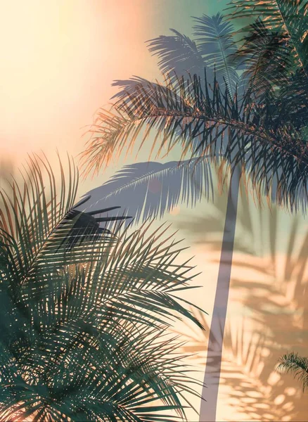 Grüne Palme Blatt Auf Blauem Himmel Vorne Exotische Pflanze Sommer — Stockfoto