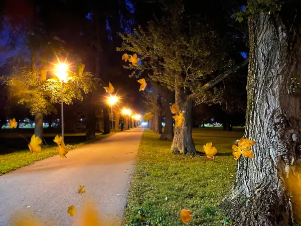 Herbstabend Stadtpark Straßenlaterne Gelbes Licht Bäume Grün Und Gelbe Blätter — Stockfoto