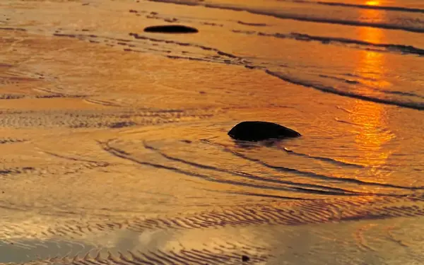 Золотой Закат Волнах Морской Воды — стоковое фото