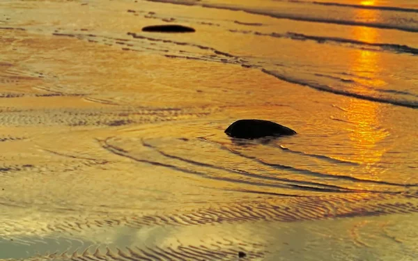 Estate Tropicale Oro Rosa Tramonto Mare Acqua Onda Natura Paesaggio — Foto Stock