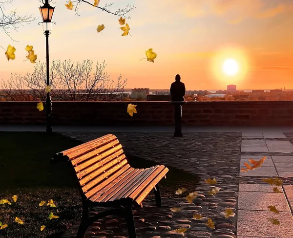 Herbstbaum Gelbe Blätter Fallen Menschen Auf Stadtbeobachtungsbalkon Park Entspannen Sich — Stockfoto