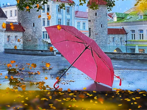 Parapluie Rose Sous Pluie Dans Parc Automne Jaune Feuilles Tombent — Photo