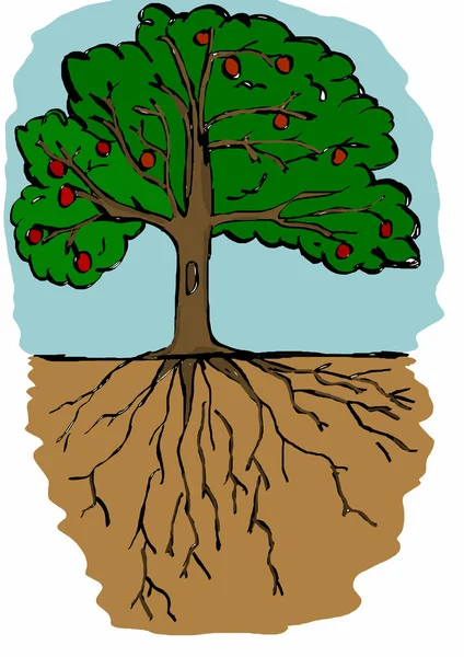 Ilustracja Drzewa Korzenie — Zdjęcie stockowe